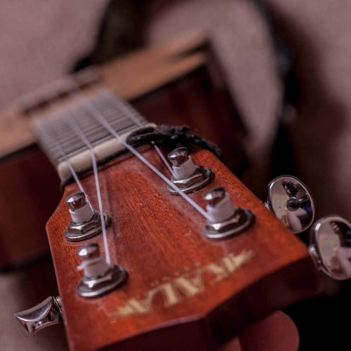 Professional Tuition Services